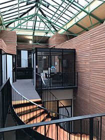 IMG 1599 210